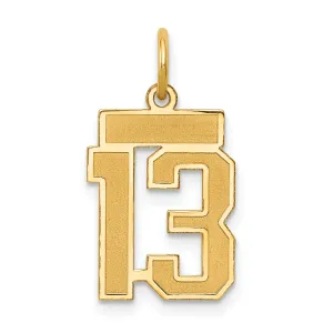 14K Gold Satin Number 13 Charm with Brushed Finish  Small and Elegant