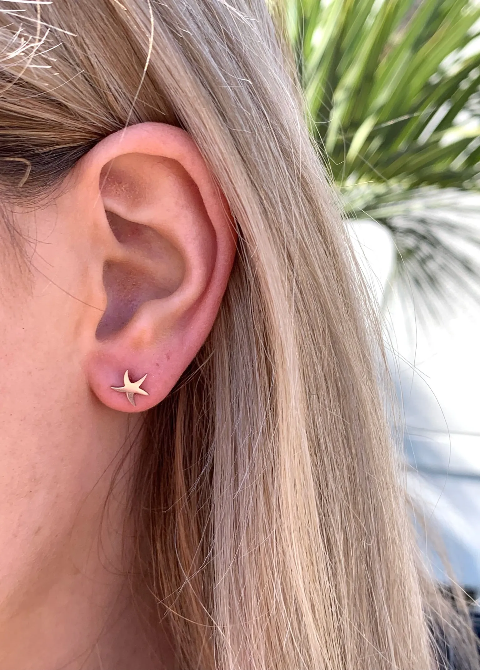Alina Small Starfish Studs- Silver