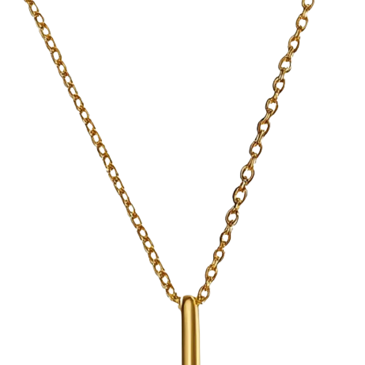 Double Pendant Necklace