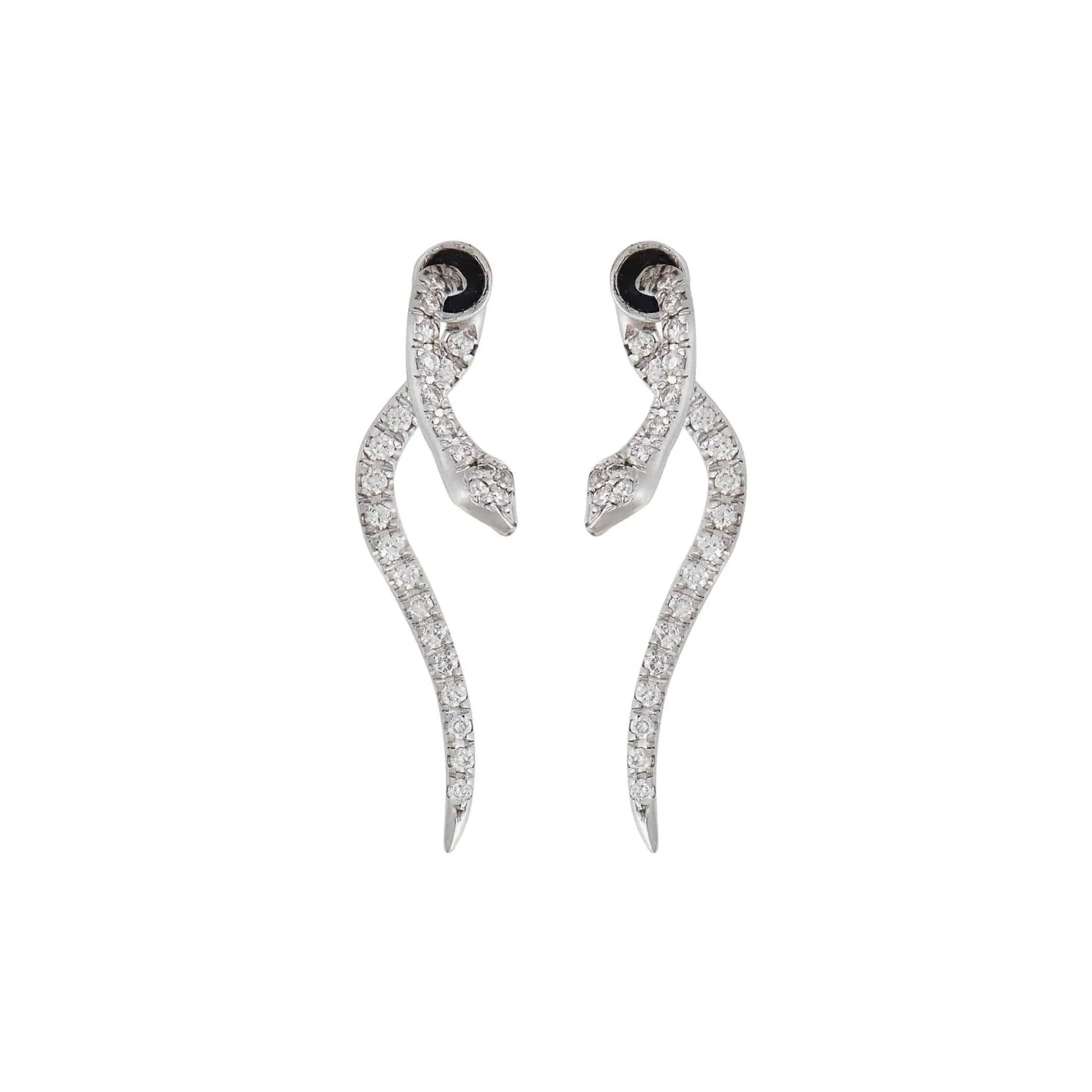 Little Diamond Boa W-D