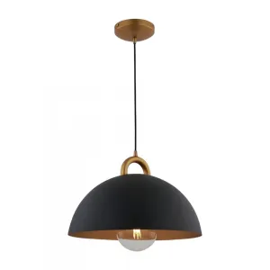 Pantheon-1-Light Pendant-19.5"-Black/Rust Brass