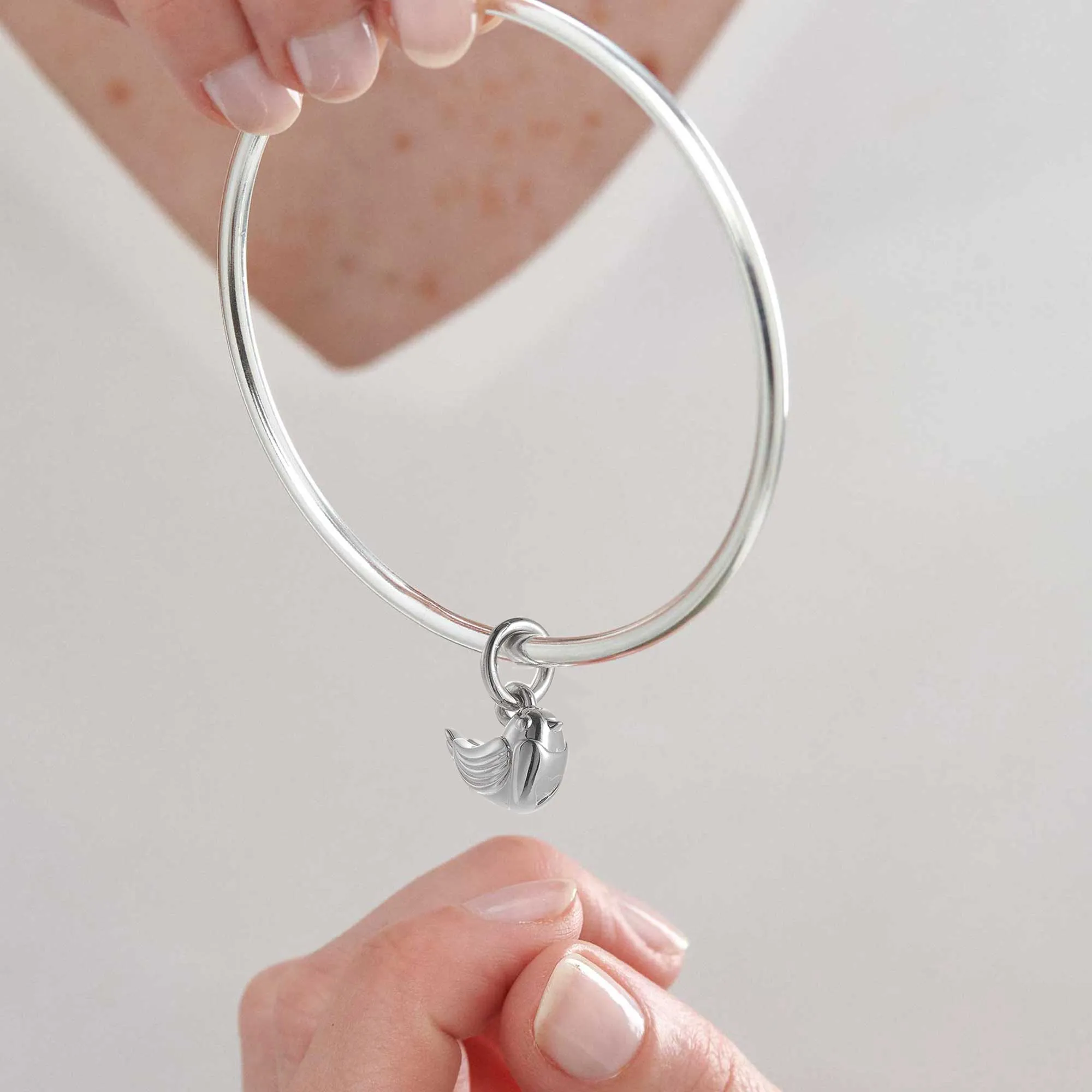Robin Silver Bangle