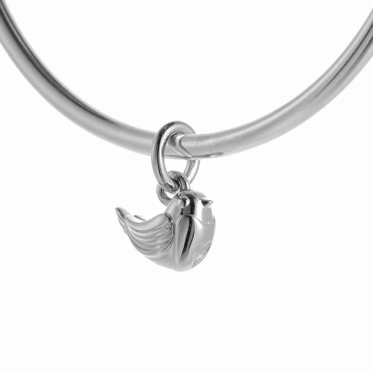 Robin Silver Bangle