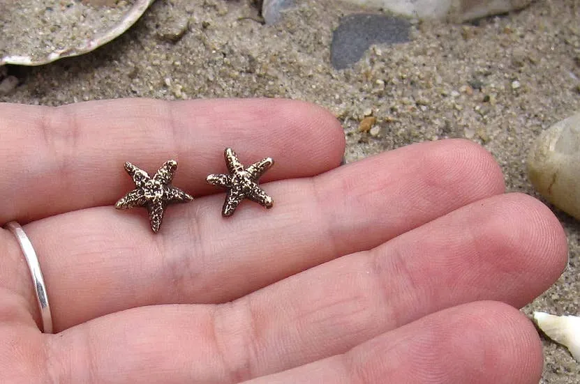 Starfish Studs: Silver
