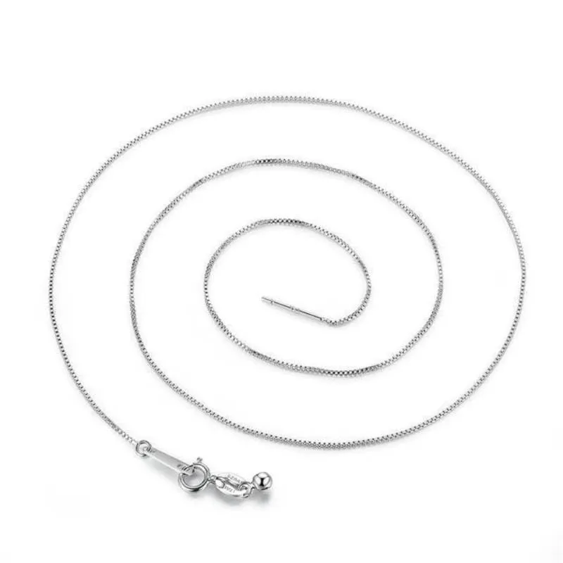 Stunning Silver Lobster Claw Clasp Necklace
