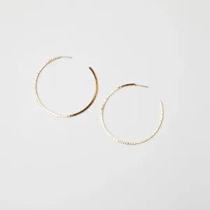 Sun Hoops Big